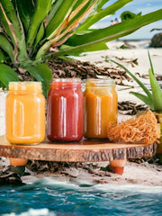 Fruit Infused Sea Moss – Fruit Punch 16oz