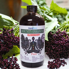 ELDERBERRY IMMUNITY ENHANCER